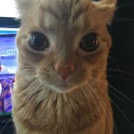 Zeynep