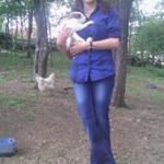 Safiye