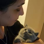 Sibel