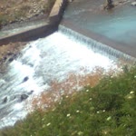 Orhan