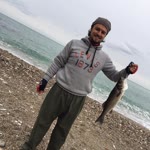 Samet
