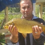 Şeref
