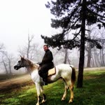 Omer