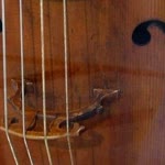 Aykut