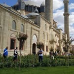 Memiş