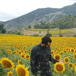 Suat