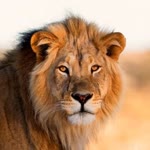 Emrah