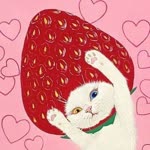 Ecem
