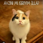 Ebru
