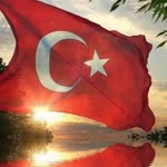 Neşe