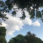 Betül
