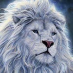 Tarık
