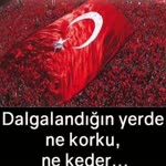 Bekir