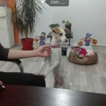 Erdem