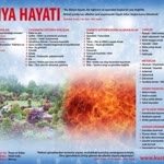 Seyhan