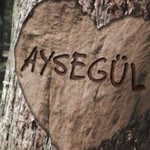 Ayşegül