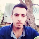Mücahit