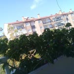 Şirin
