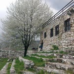 Abdurrahman