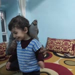 Adil