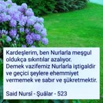 Merve