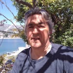 Şahin