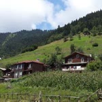 Gönül