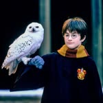 Harry