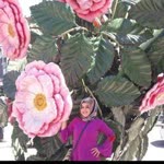Elif