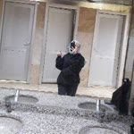 Elif