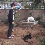 Aynur