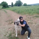 Alihan