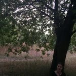 Aysel