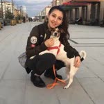 Seçil