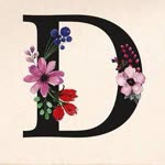 Damla