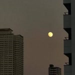 Nur