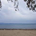 Emine
