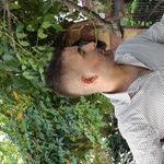 Ferit