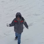Tahir