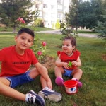 Merve