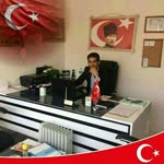 Ergül