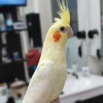 Profil fotoğrafı