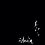 Tarkan
