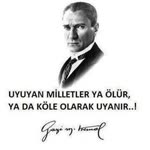 Aykut