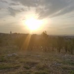 Barış