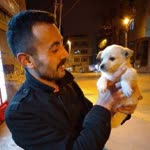 Murat