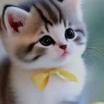 Elif