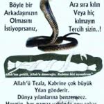 Usta