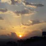 Birgül