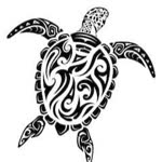 Turtles